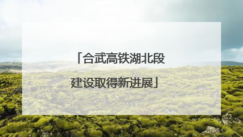 合武高铁湖北段建设取得新进展
