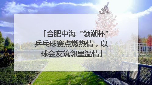 合肥中海“领潮杯”乒乓球赛点燃热情，以球会友筑邻里温情