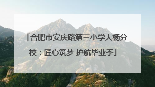 合肥市安庆路第三小学大杨分校：匠心筑梦 护航毕业季