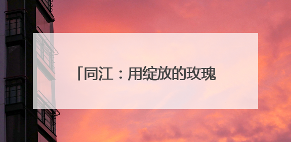 同江：用绽放的玫瑰 推动乡村经济振兴