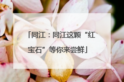 同江：同江这颗“红宝石”等你来尝鲜
