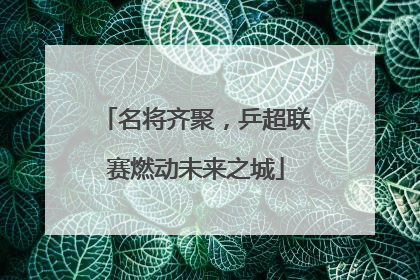 名将齐聚，乒超联赛燃动未来之城