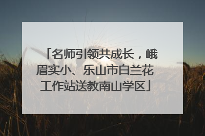 名师引领共成长，峨眉实小、乐山市白兰花工作站送教南山学区