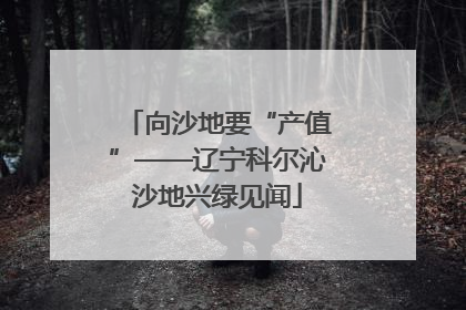 向沙地要“产值”——辽宁科尔沁沙地兴绿见闻