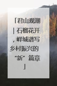 君山观潮｜石榴花开，峄城谱写乡村振兴的“新”篇章