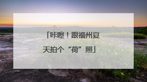咔嚓！跟福州夏天拍个“荷”照