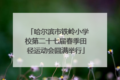 哈尔滨市铁岭小学校第二十七届春季田径运动会圆满举行
