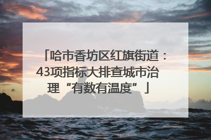 哈市香坊区红旗街道：43项指标大排查城市治理“有数有温度”