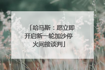 哈马斯：愿立即开启新一轮加沙停火间接谈判