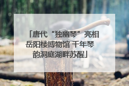 唐代“独幽琴”亮相岳阳楼博物馆 千年琴韵洞庭湖畔苏醒