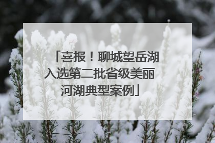 喜报！聊城望岳湖入选第二批省级美丽河湖典型案例
