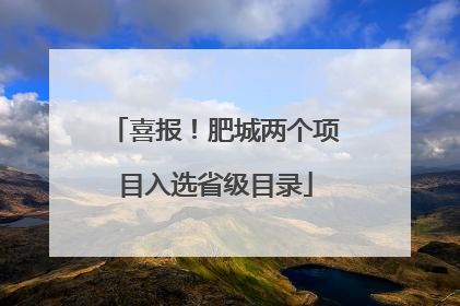 喜报！肥城两个项目入选省级目录