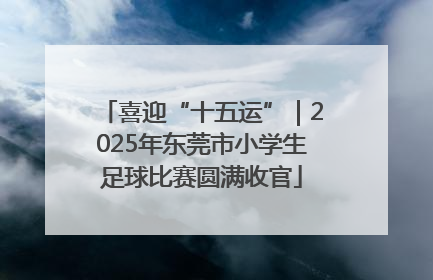 喜迎“十五运”｜2025年东莞市小学生足球比赛圆满收官