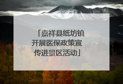 嘉祥县纸坊镇开展医保政策宣传进景区活动
