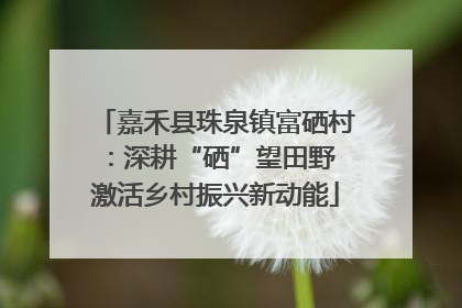 嘉禾县珠泉镇富硒村：深耕“硒”望田野 激活乡村振兴新动能