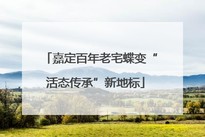 嘉定百年老宅蝶变“活态传承”新地标