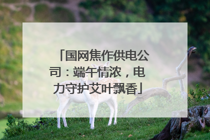 国网焦作供电公司：端午情浓，电力守护艾叶飘香