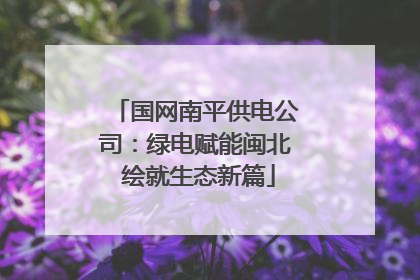 国网南平供电公司：绿电赋能闽北 绘就生态新篇