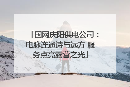 国网庆阳供电公司：电脉连通诗与远方 服务点亮露营之光