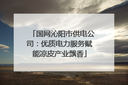 国网沁阳市供电公司：优质电力服务赋能凉皮产业飘香