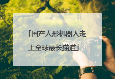 国产人形机器人走上全球最长猫道