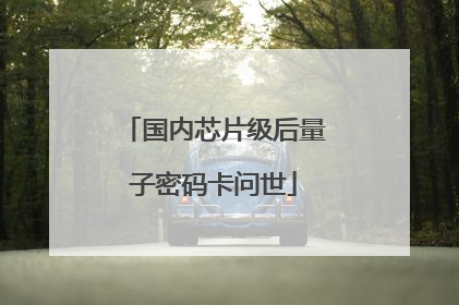 国内芯片级后量子密码卡问世