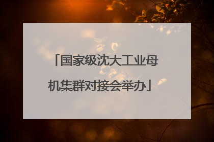国家级沈大工业母机集群对接会举办