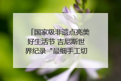 国家级非遗点亮美好生活节 吉尼斯世界纪录“最细手工切面”邀您来品！｜美好生活有“盐”味