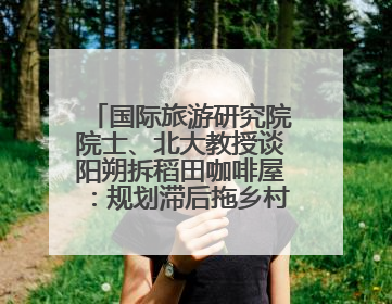 国际旅游研究院院士、北大教授谈阳朔拆稻田咖啡屋：规划滞后拖乡村振兴后腿