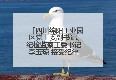 四川绵阳工业园区党工委副书记、纪检监察工委书记李玉琼 接受纪律审查和监察调查