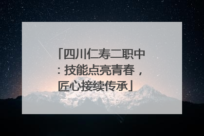 四川仁寿二职中：技能点亮青春，匠心接续传承