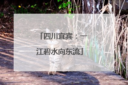 四川宜宾：一江碧水向东流