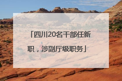 四川20名干部任新职，涉副厅级职务