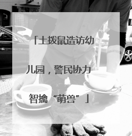 土拨鼠造访幼儿园，警民协力智擒“萌兽”