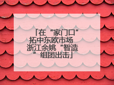 在“家门口”拓中东欧市场 浙江余姚“智造”组团出击