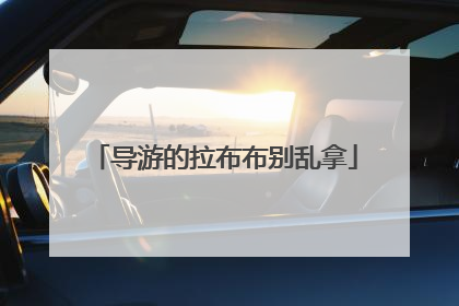 导游的拉布布别乱拿