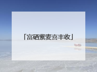 富硒紫麦喜丰收