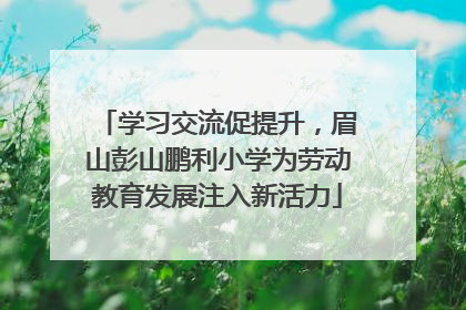 学习交流促提升，眉山彭山鹏利小学为劳动教育发展注入新活力