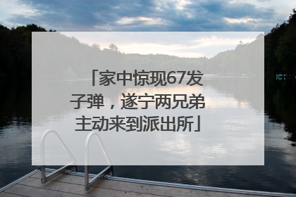 家中惊现67发子弹，遂宁两兄弟主动来到派出所