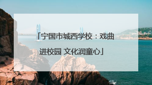 宁国市城西学校：戏曲进校园 文化润童心