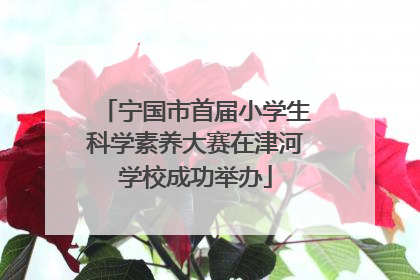 宁国市首届小学生科学素养大赛在津河学校成功举办