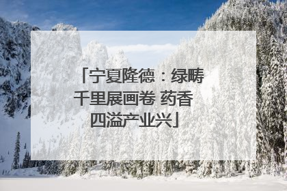 宁夏隆德：绿畴千里展画卷 药香四溢产业兴