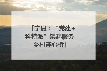 宁夏：“党建+科特派”架起服务乡村连心桥