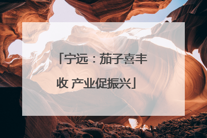 宁远：茄子喜丰收 产业促振兴