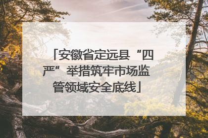 安徽省定远县“四严”举措筑牢市场监管领域安全底线