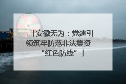 安徽无为：党建引领筑牢防范非法集资“红色防线”