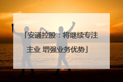 安通控股：将继续专注主业 增强业务优势