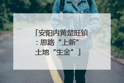 安阳内黄楚旺镇：思路“上新” 土地“生金”