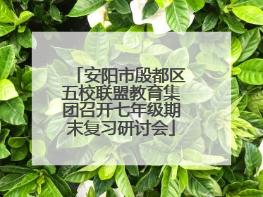 安阳市殷都区五校联盟教育集团召开七年级期末复习研讨会