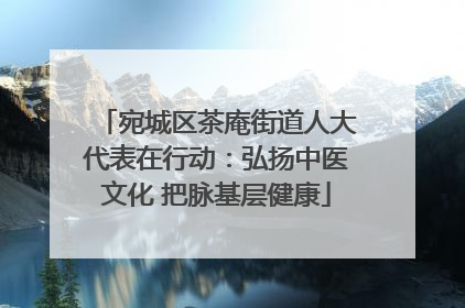 宛城区茶庵街道人大代表在行动：弘扬中医文化 把脉基层健康
